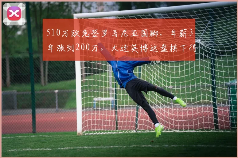 510万欧免签罗马尼亚国脚，年薪3年涨到200万，大连英博这盘棋下得够大_塔纳斯_中超_赛季